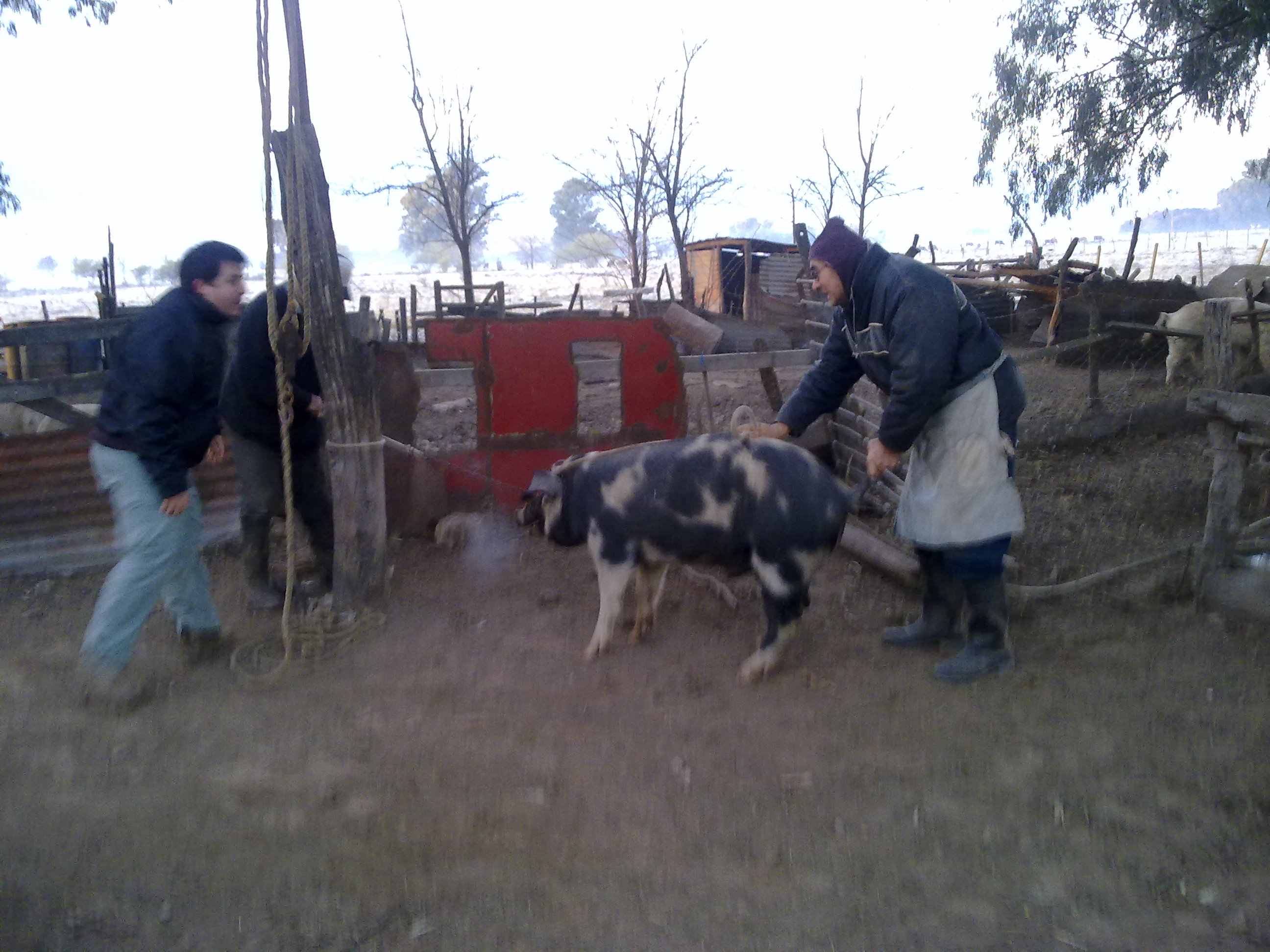 fotos/2010-07-18 - Carneada con nevada/17072010487.jpg
